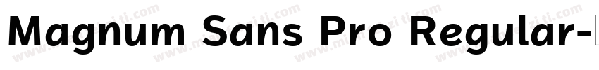 Magnum Sans Pro Regular字体转换